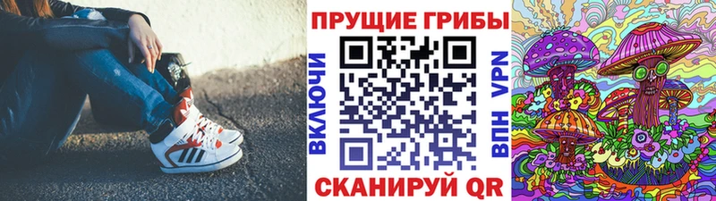 Псилоцибиновые грибы мицелий  как найти закладки  Дудинка 